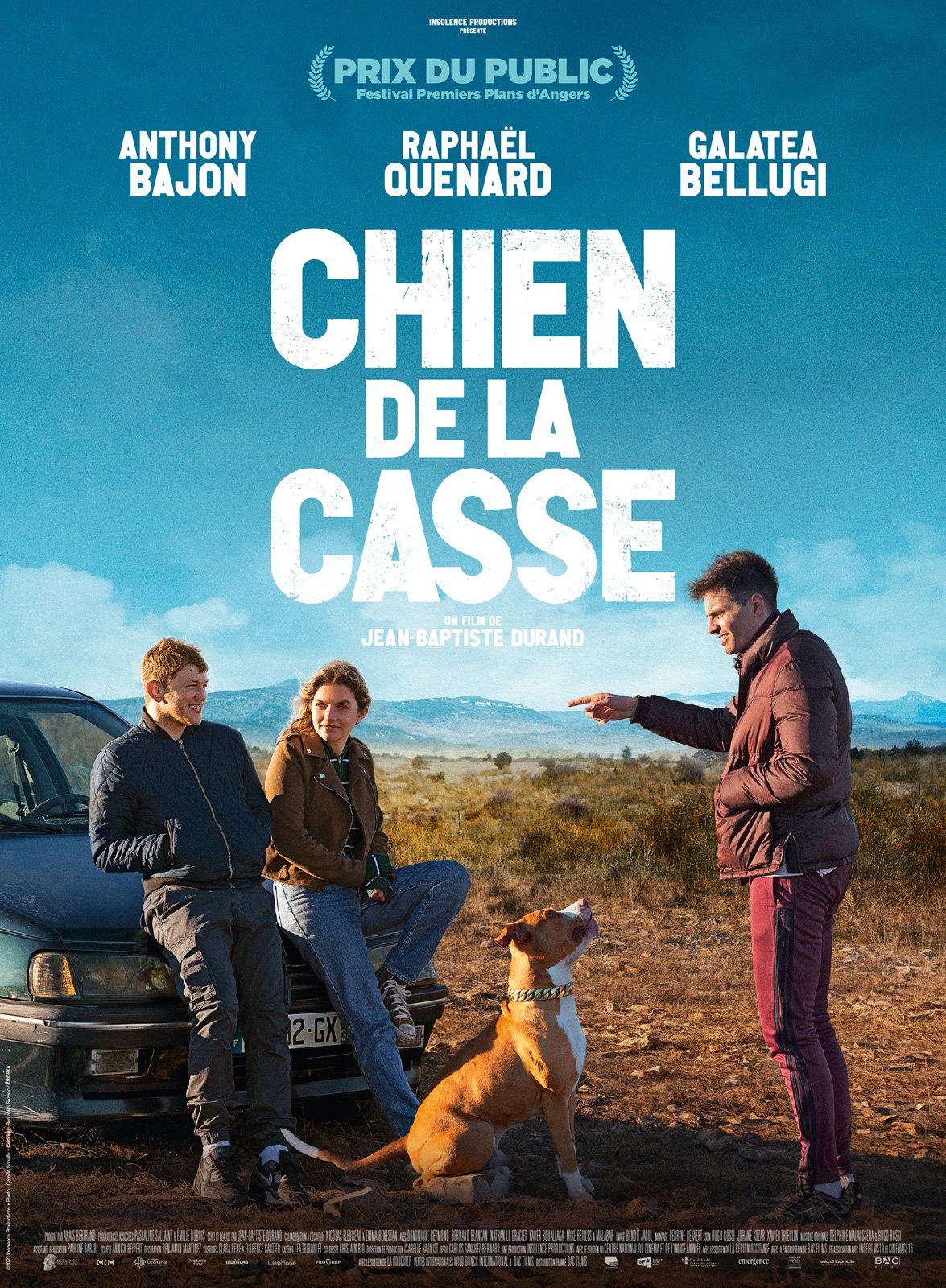 Chien de la casse - Les Œillades 2023